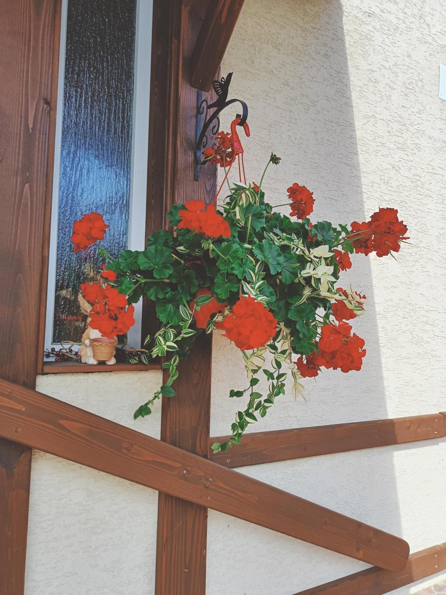 קאמפולונג מולדובנסק Residence Rooms Bucovina מראה חיצוני תמונה