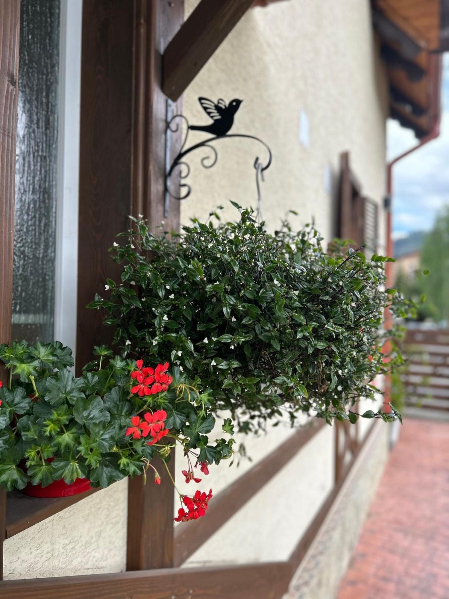 קאמפולונג מולדובנסק Residence Rooms Bucovina מראה חיצוני תמונה