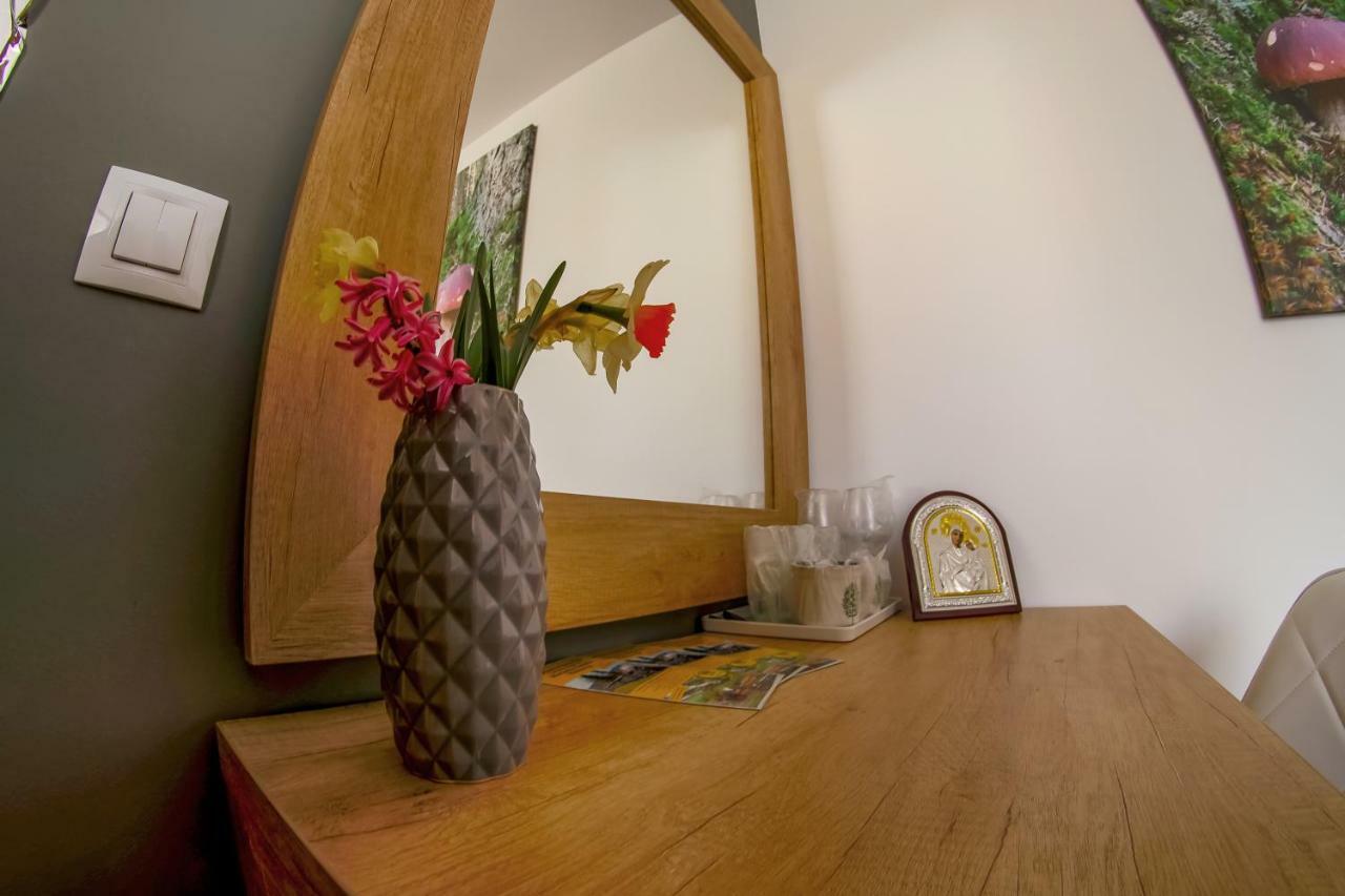 קאמפולונג מולדובנסק Residence Rooms Bucovina מראה חיצוני תמונה